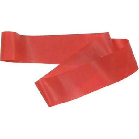 Steadfast Fitness Loop - Light Resistance ST451554